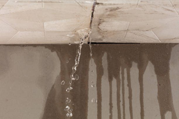 Professional Structural Drying technician working in Radnor, OH